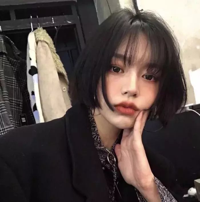 南来北往